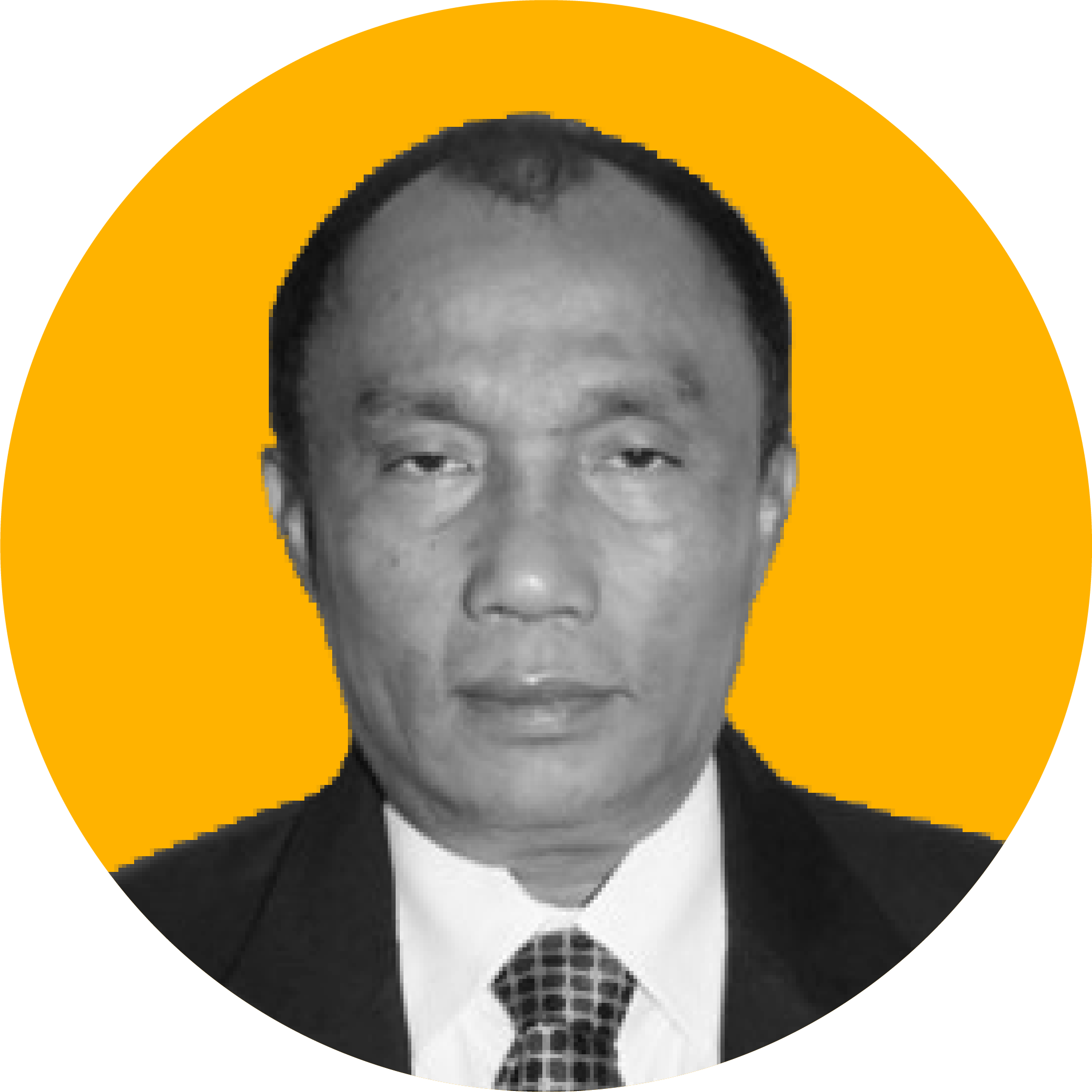 Dewan Penasehat_Effendi Sianipar