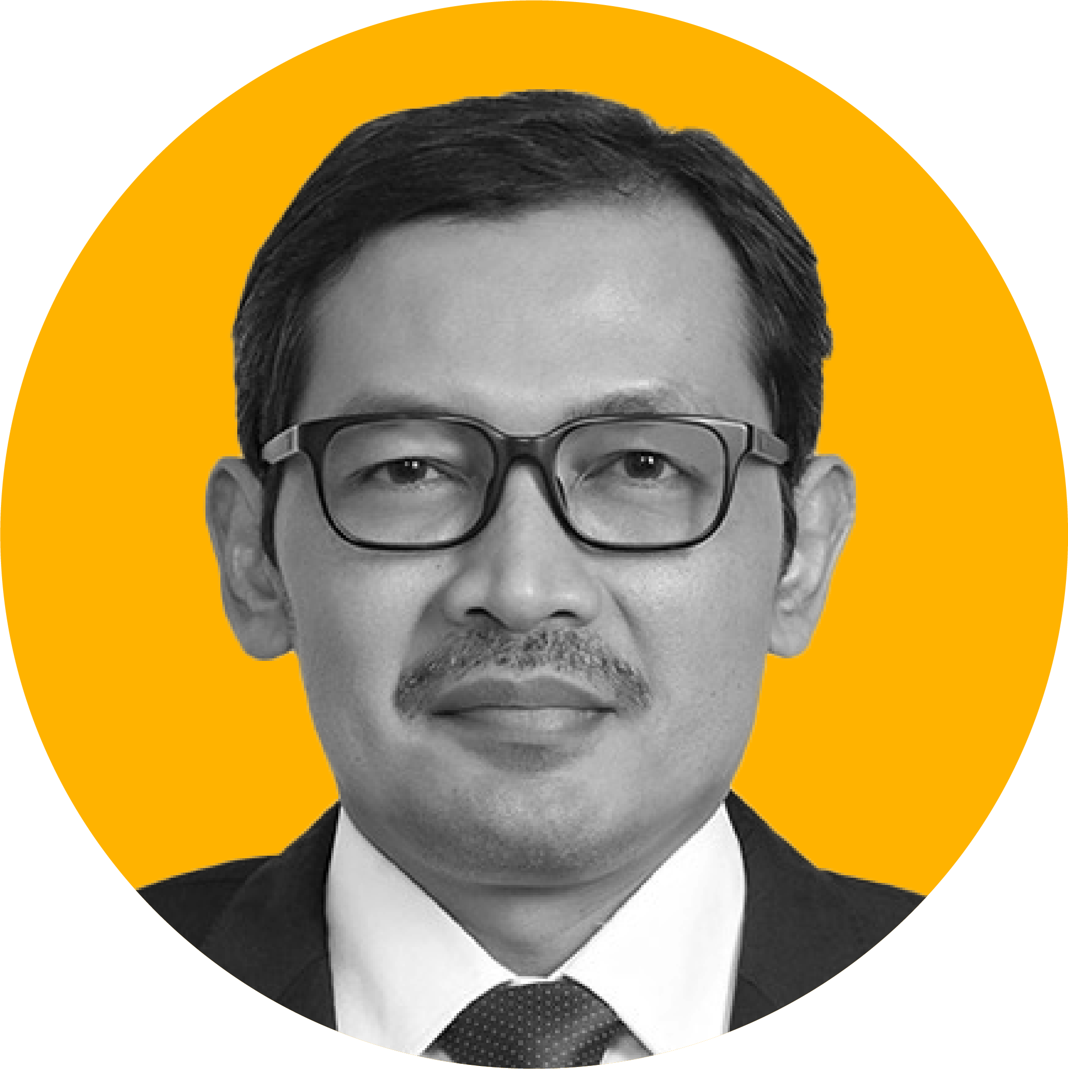 Dewan Penasehat_muhammad edhie purnawan
