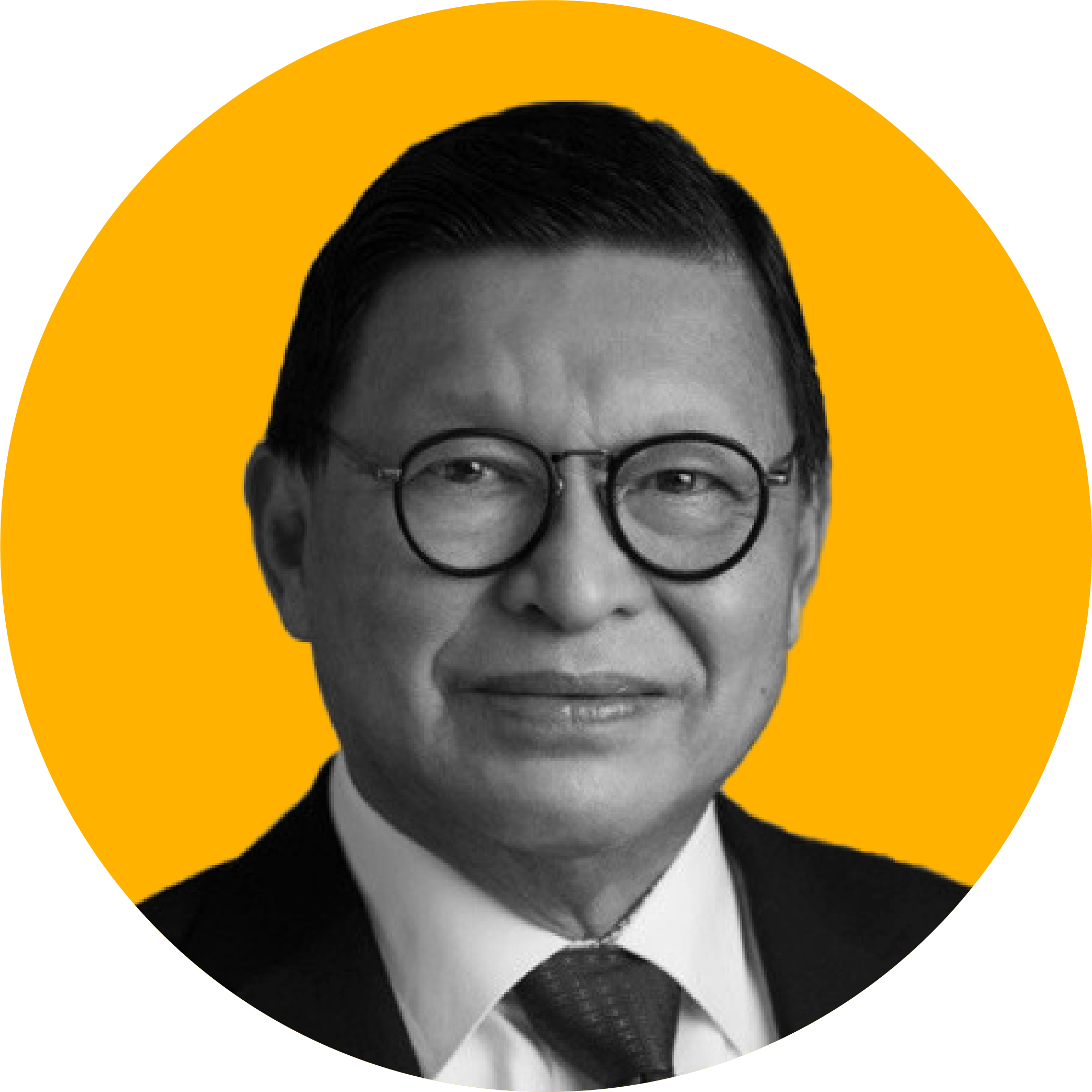 Dewan Penasehat_Sekretaris - John A. Prasetio