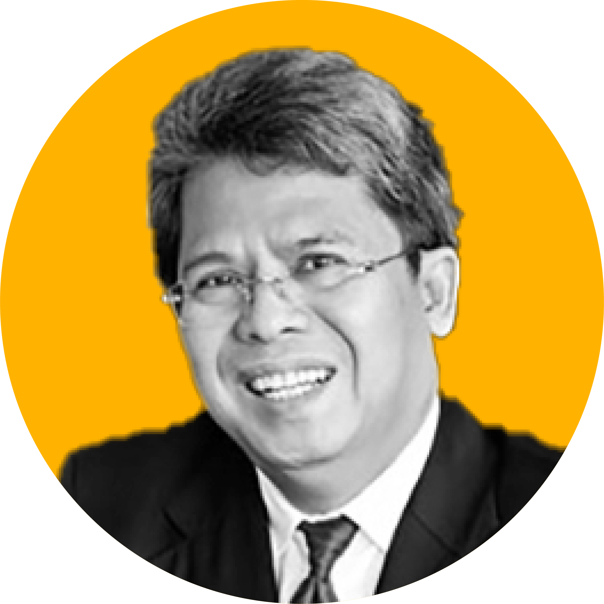 Dewan Penasehat_Todung Mulya Lubis