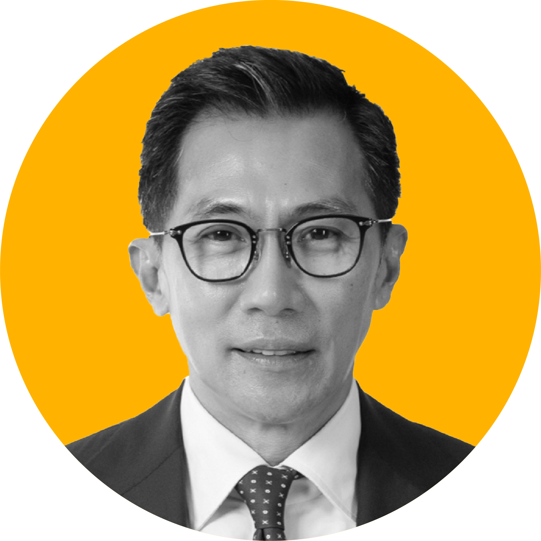 Dewan Penasehat_Wakil - Wishnu Wardhana