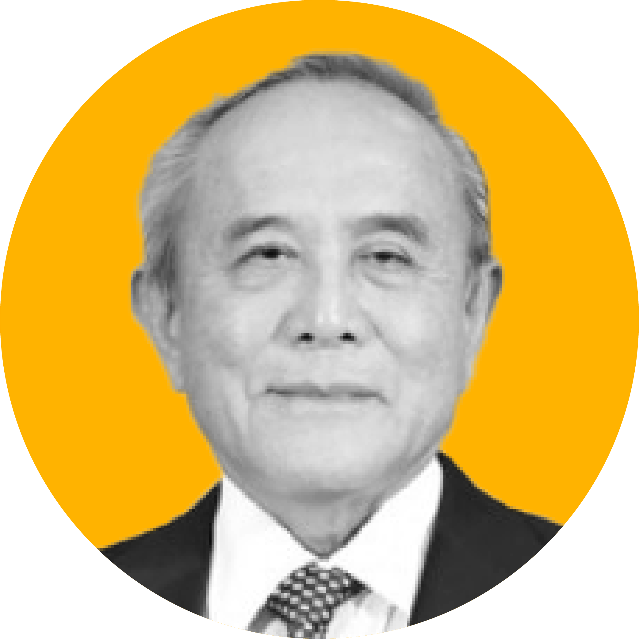 Dewan Usaha_Wakil - Theodore Permadi Rachmat